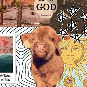 Meet your Posher, Addison